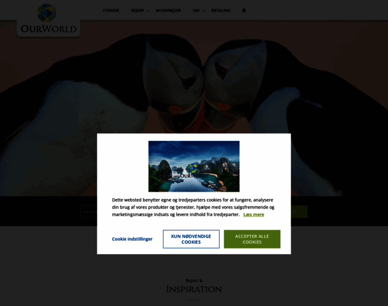 Ourworld.dk thumbnail