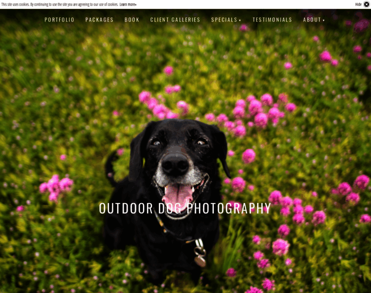 Outdoordogphotography.com thumbnail