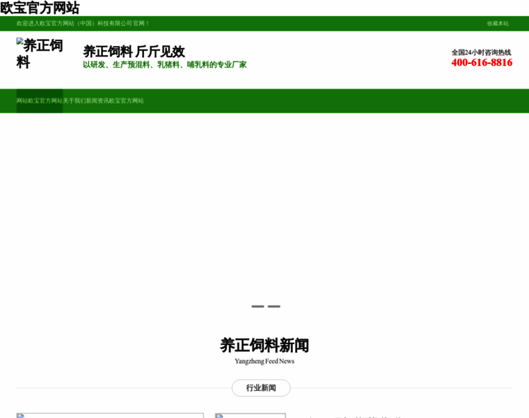 Outsource-net.com thumbnail