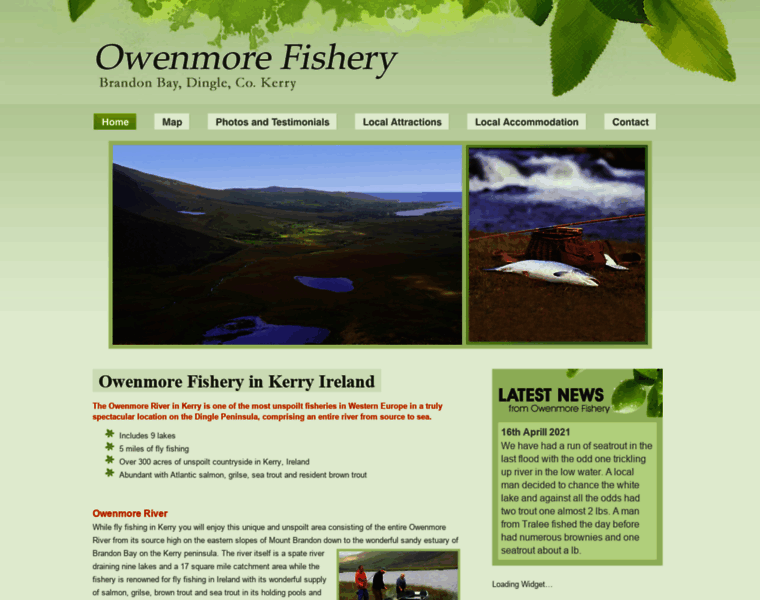 Owenmorefishery.ie thumbnail