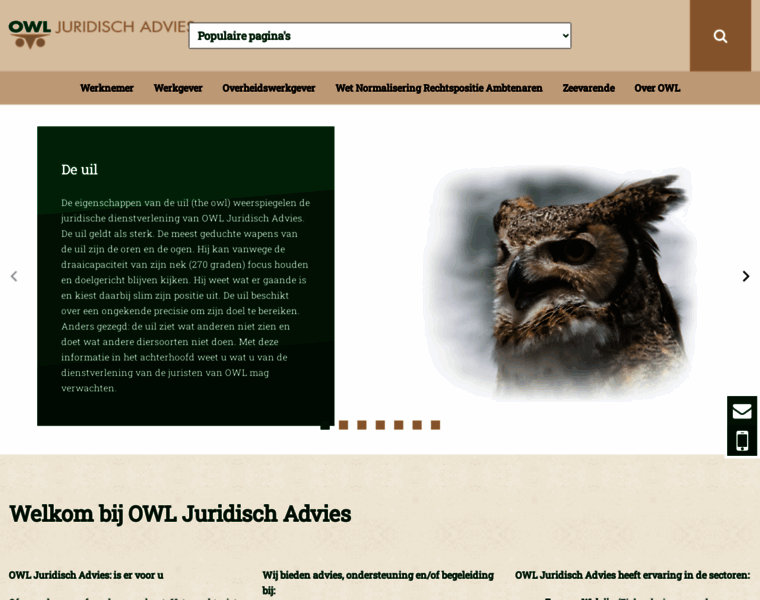 Owl-advies.nl thumbnail