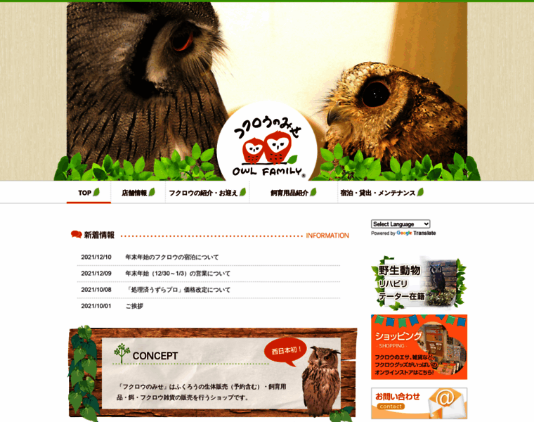 Owlfamily.co.jp thumbnail