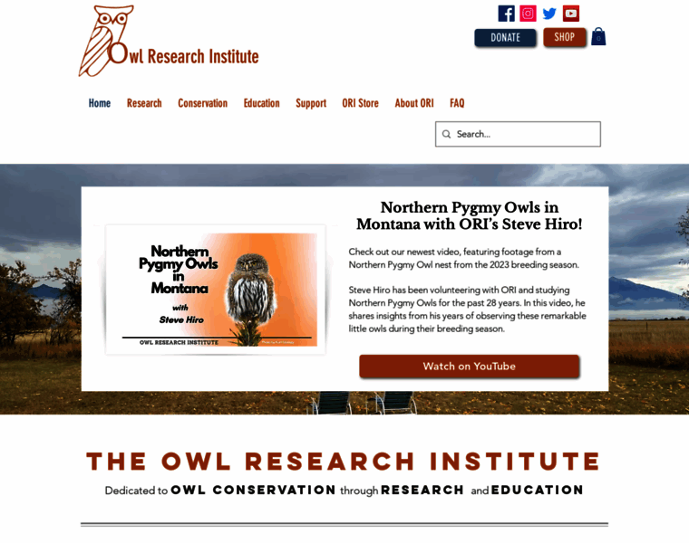 Owlinstitute.org thumbnail