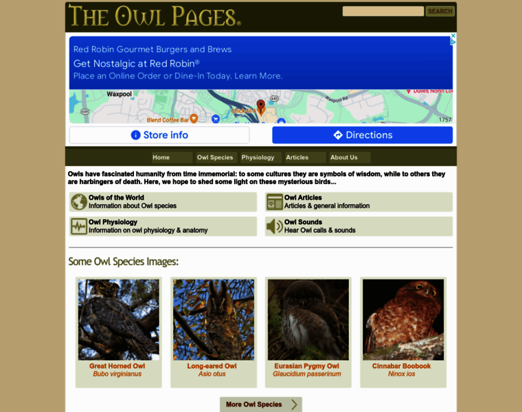 Owlpages.com thumbnail