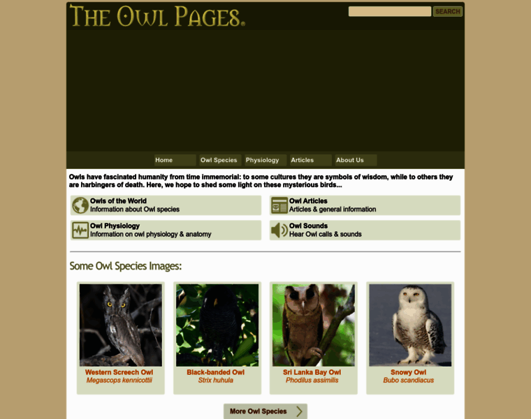Owlpages.info thumbnail