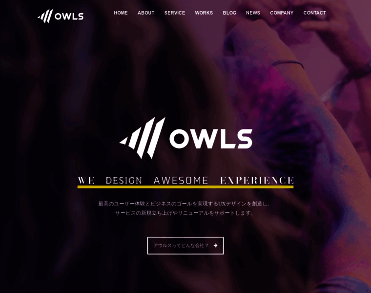 Owls-inc.com thumbnail