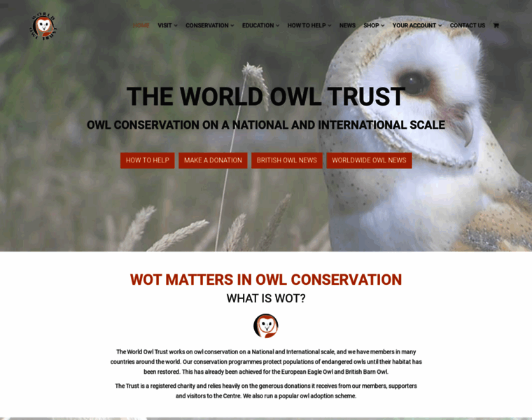 Owls.org thumbnail