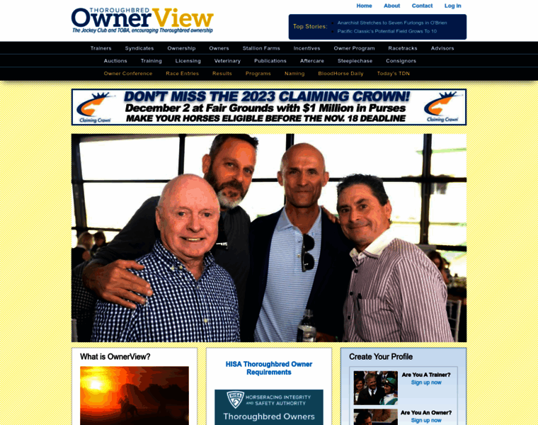 Ownerview.com thumbnail