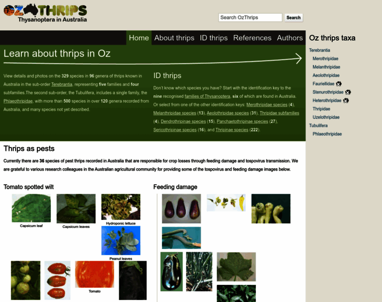 Ozthrips.org thumbnail