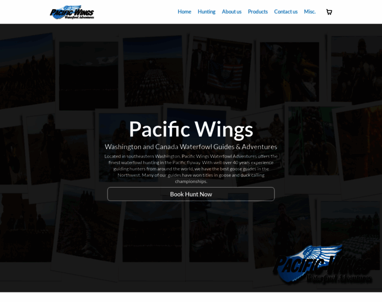 Pacific-wings.net thumbnail