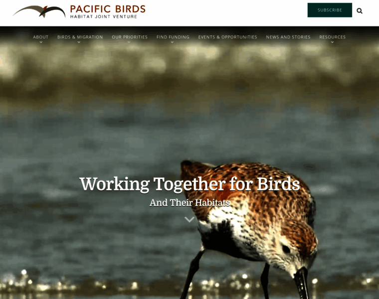 Pacificbirds.org thumbnail
