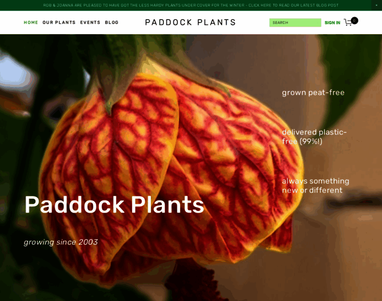 Paddockplants.co.uk thumbnail