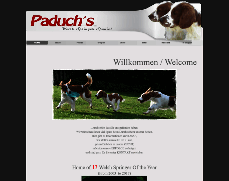 Paduchs-welsh-springer.de thumbnail