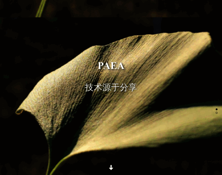 Paea.cn thumbnail