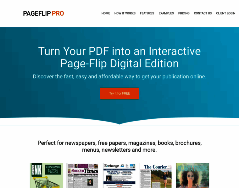 Pageflip.site thumbnail