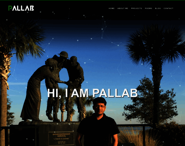 Pallab.com thumbnail