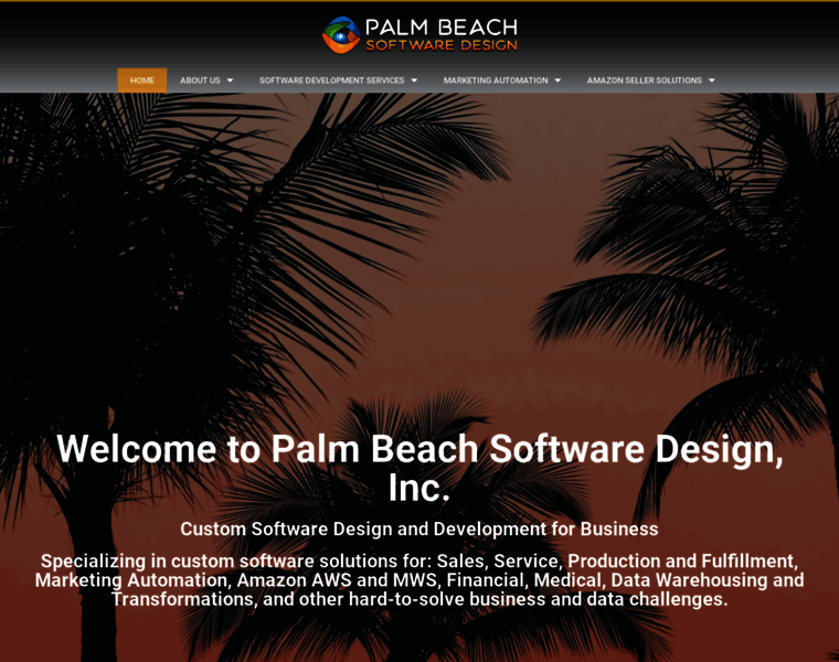 Palmbeachsoftware.com thumbnail