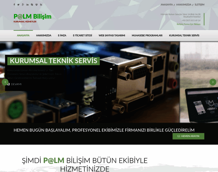 Palmbilisim.com thumbnail