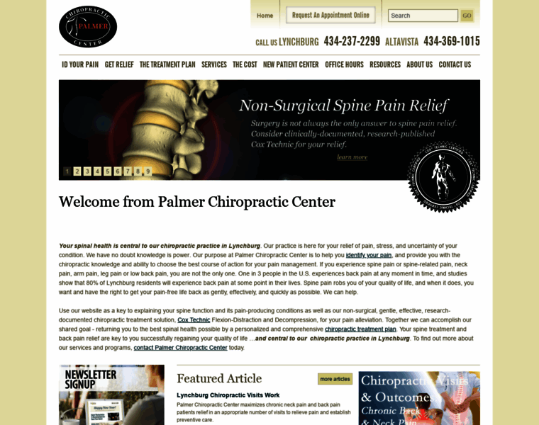 Palmerchiropracticcenter.com thumbnail