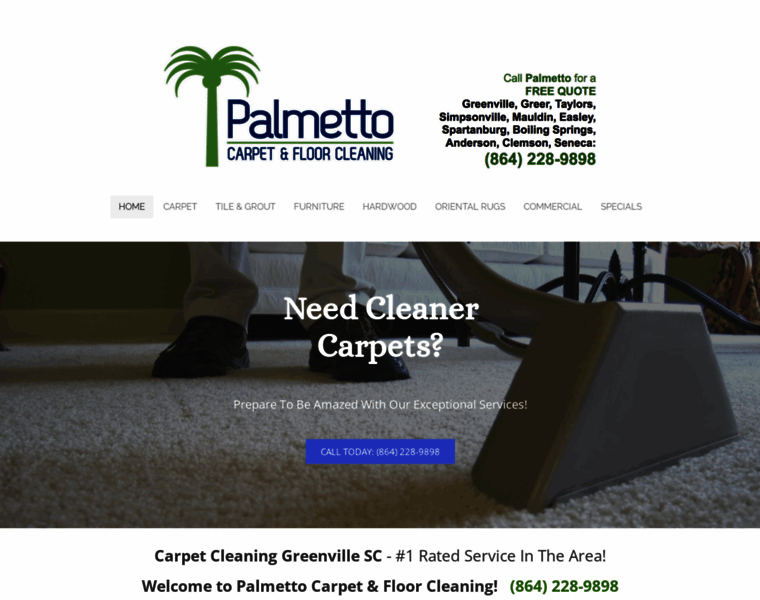 Palmetto-carpetcleaning.com thumbnail