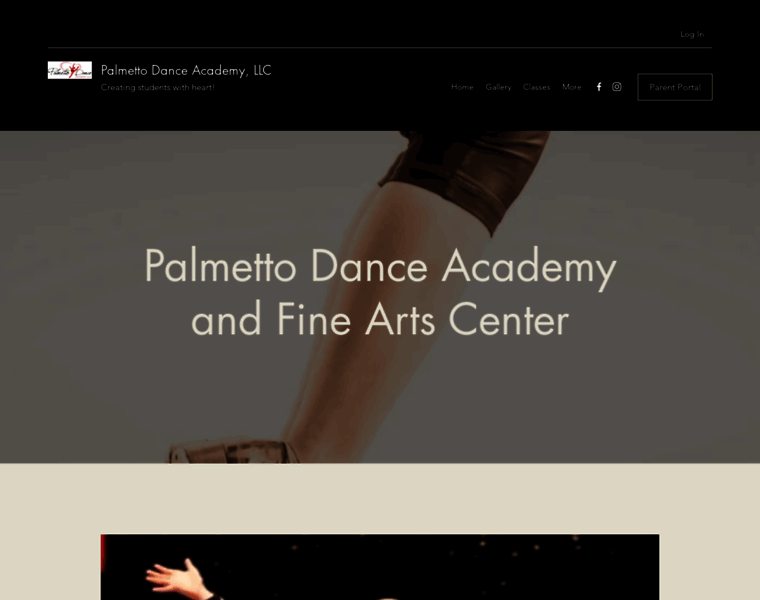 Palmettodanceacademy.com thumbnail