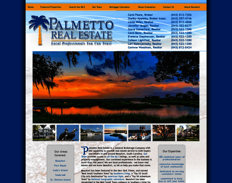Palmettorealestate.org thumbnail