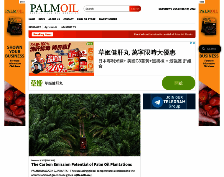 Palmoilmagazine.com thumbnail