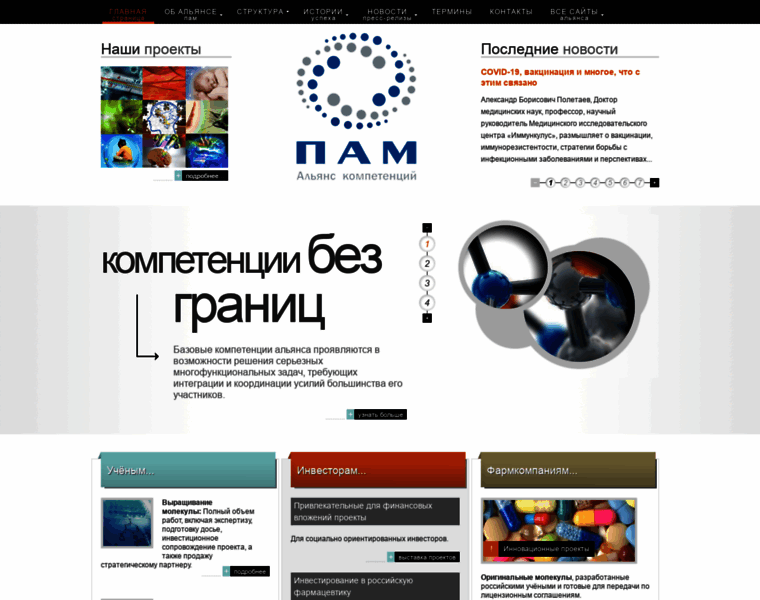 Pam-alliance.ru thumbnail