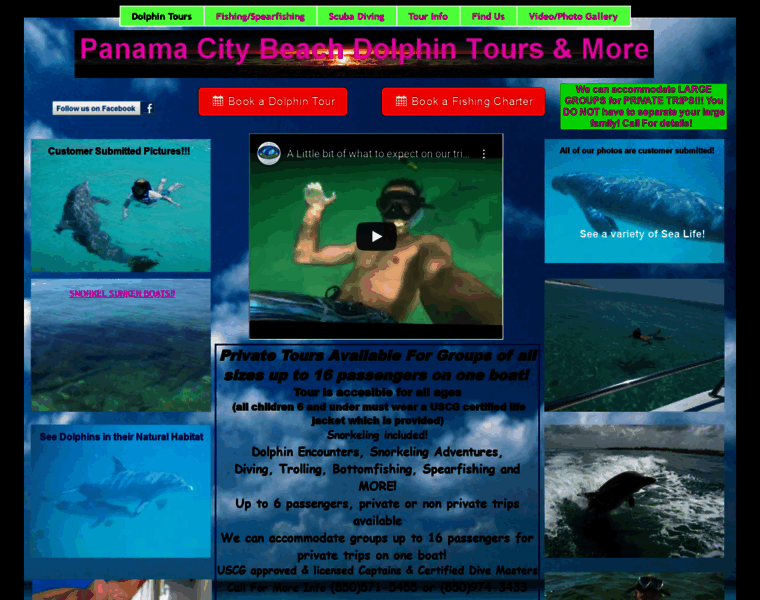 Panamacitybeachdolphintours.com thumbnail