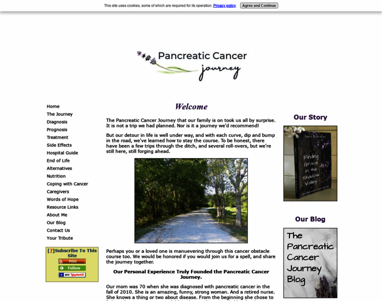 Pancreaticcancerjourney.com thumbnail