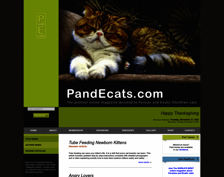 Pandecats.com thumbnail