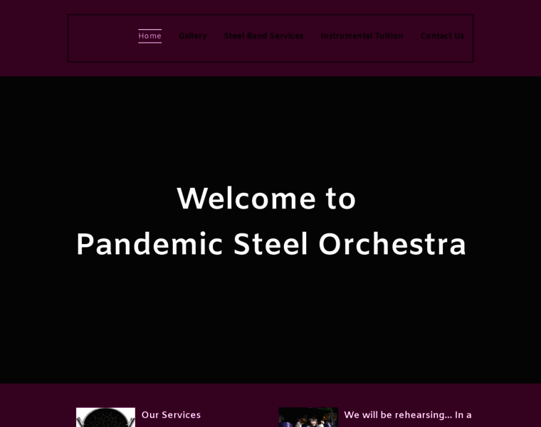 Pandemicsteelorchestra.co.uk thumbnail