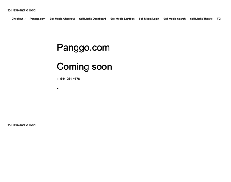 Panggo.com thumbnail