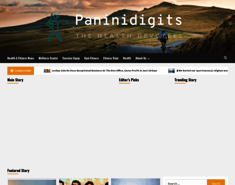 Paninidigits.com thumbnail