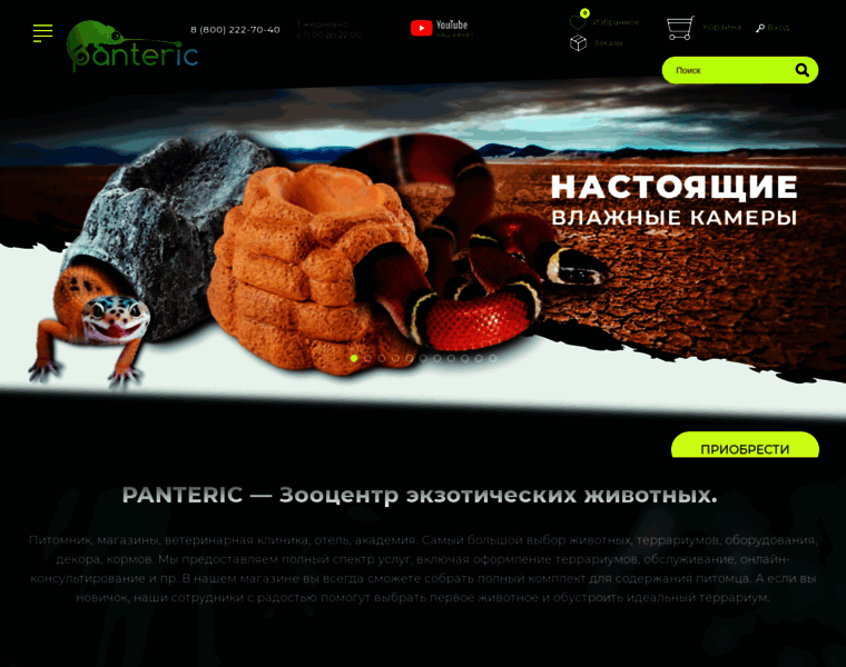 Panteric.ru thumbnail