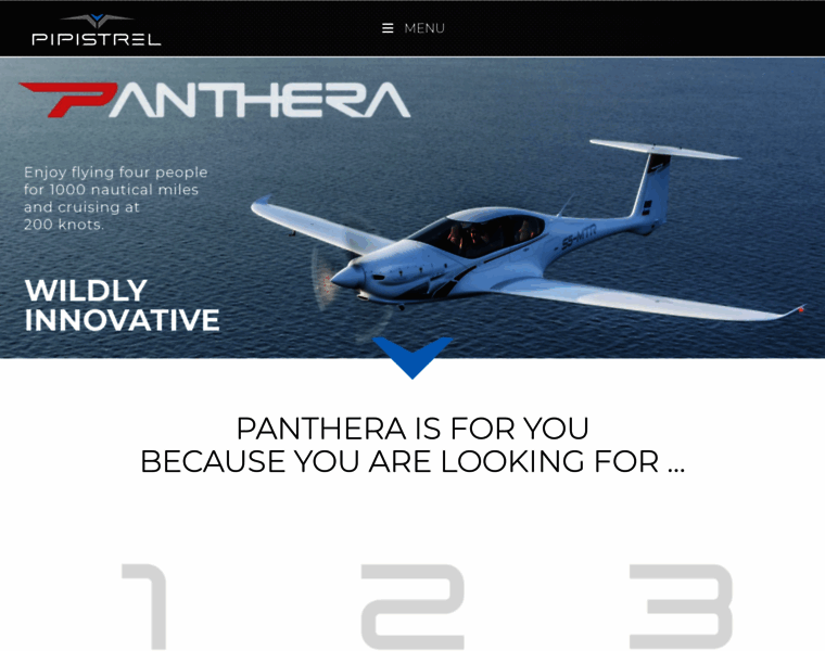 Panthera-aircraft.com thumbnail