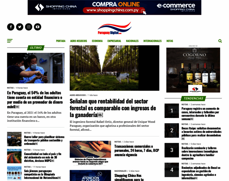 Paraguaydigital.com thumbnail