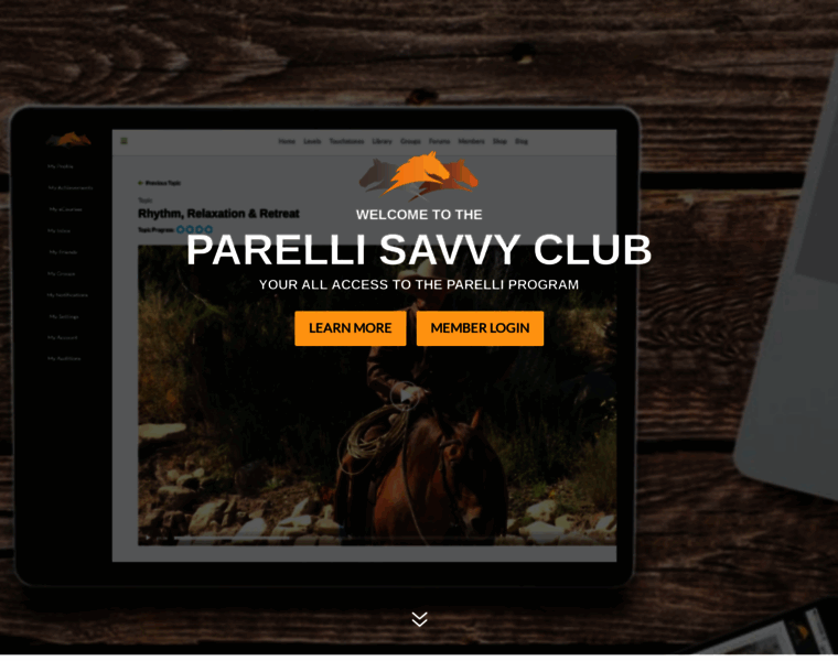 Parellisavvyclub.com thumbnail