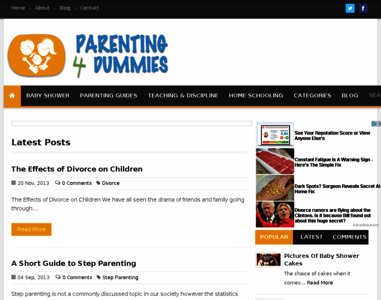 Parenting4dummies.com thumbnail
