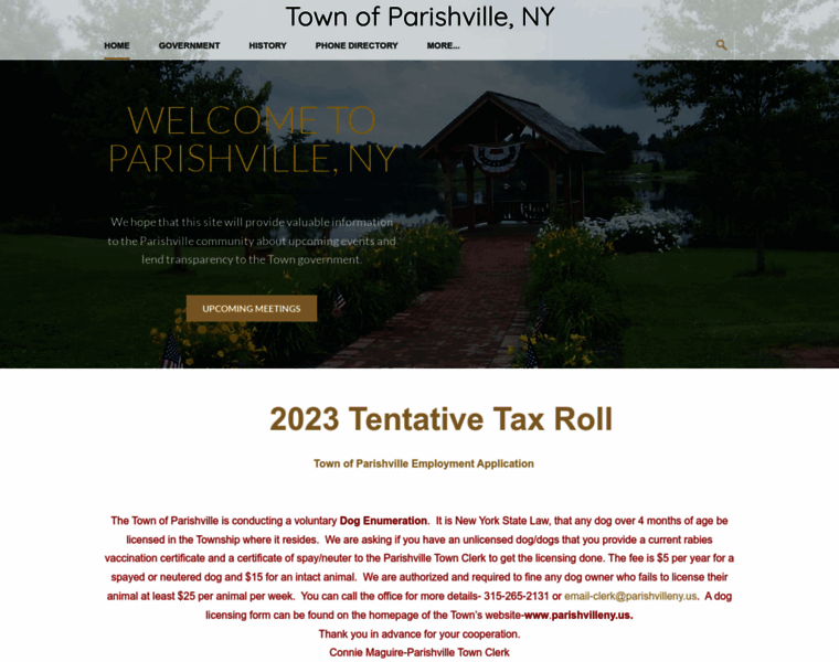Parishvilleny.us thumbnail