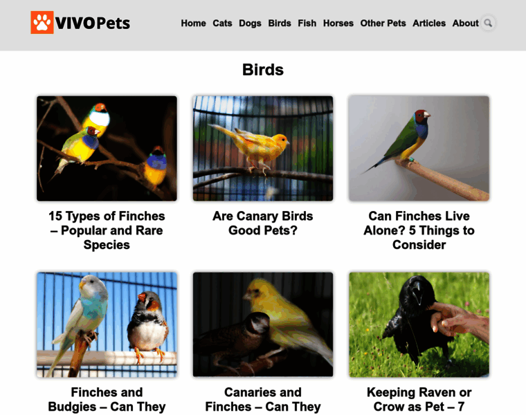 Parrot-and-conure-world.com thumbnail