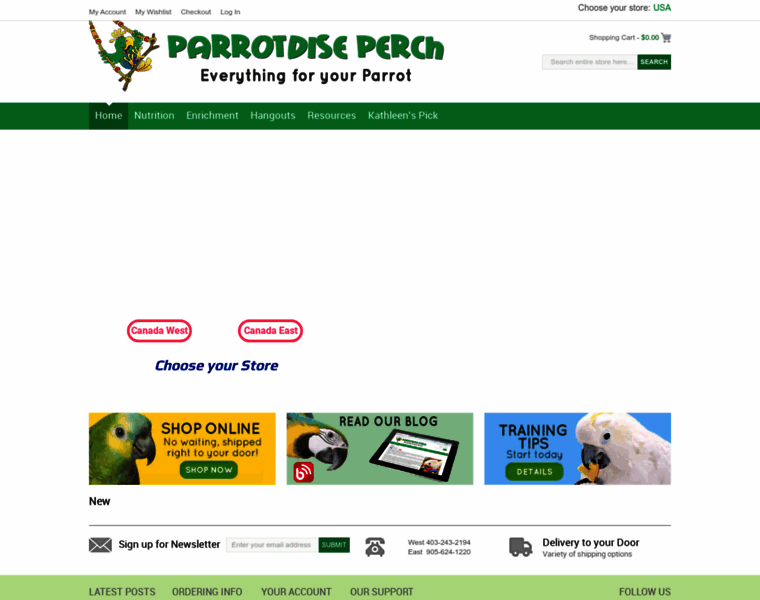 Parrotdiseperch.com thumbnail