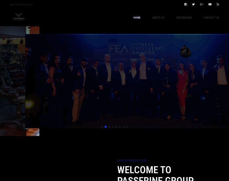 Passerinegroup.com thumbnail Passerinegroup.com thumbnail