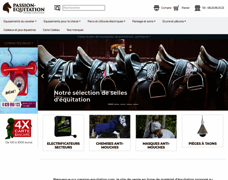 Passion-equitation.com thumbnail