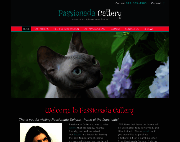 Passionada-cattery.com thumbnail