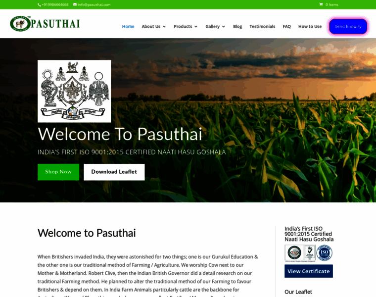 Pasuthai.com thumbnail
