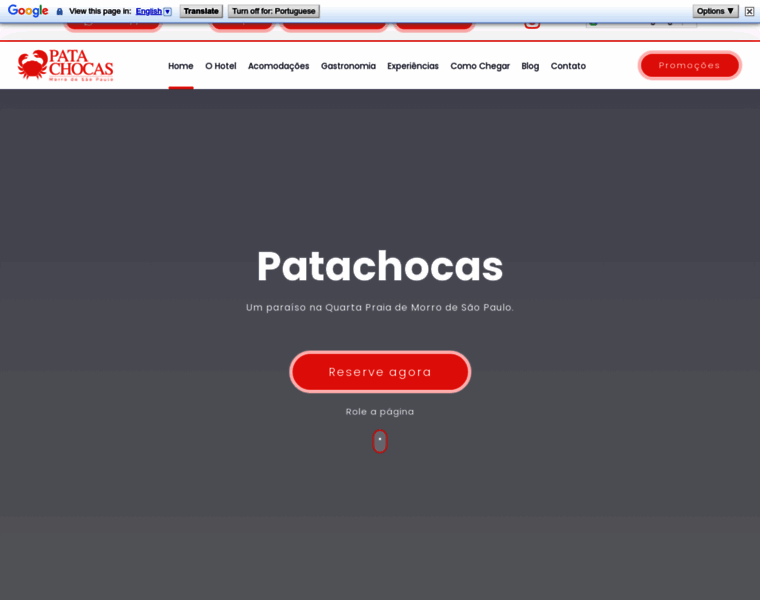 Patachocas.com.br thumbnail