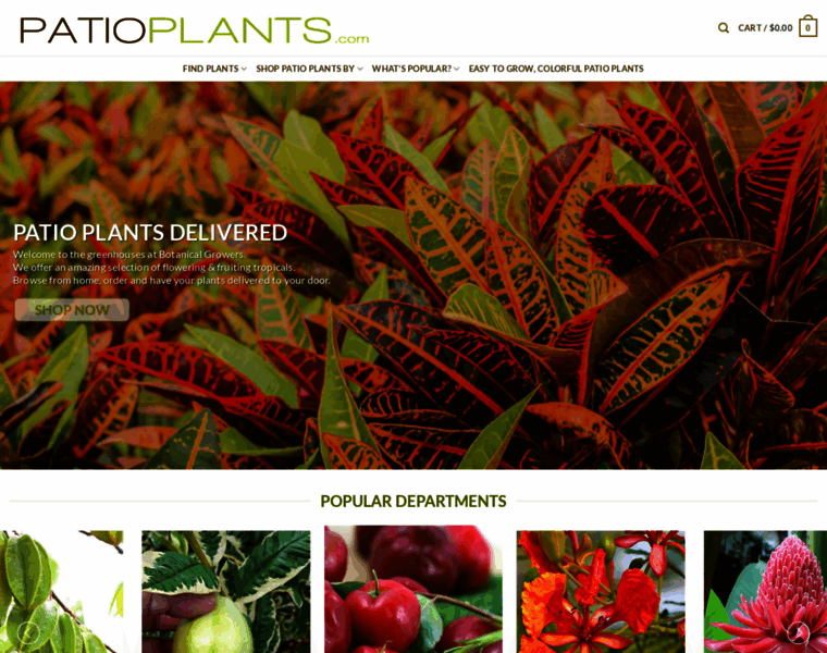 Patioplants.com thumbnail