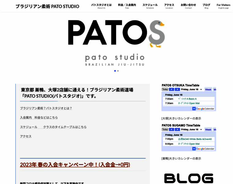 Patosbjj.jp thumbnail