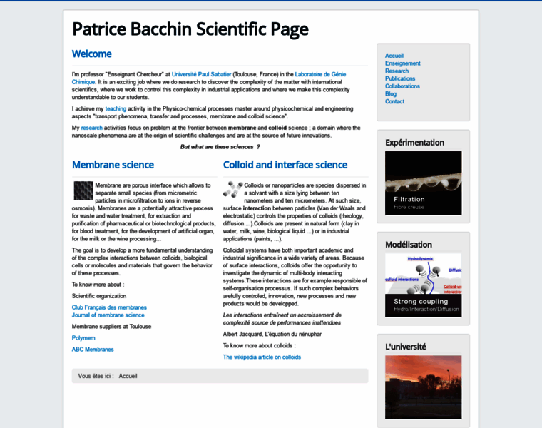 Patricebacchin.fr thumbnail